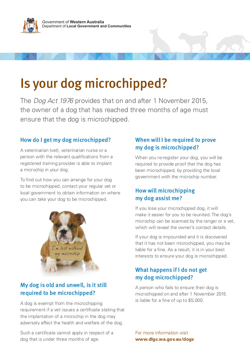 can i microchip my dog myself