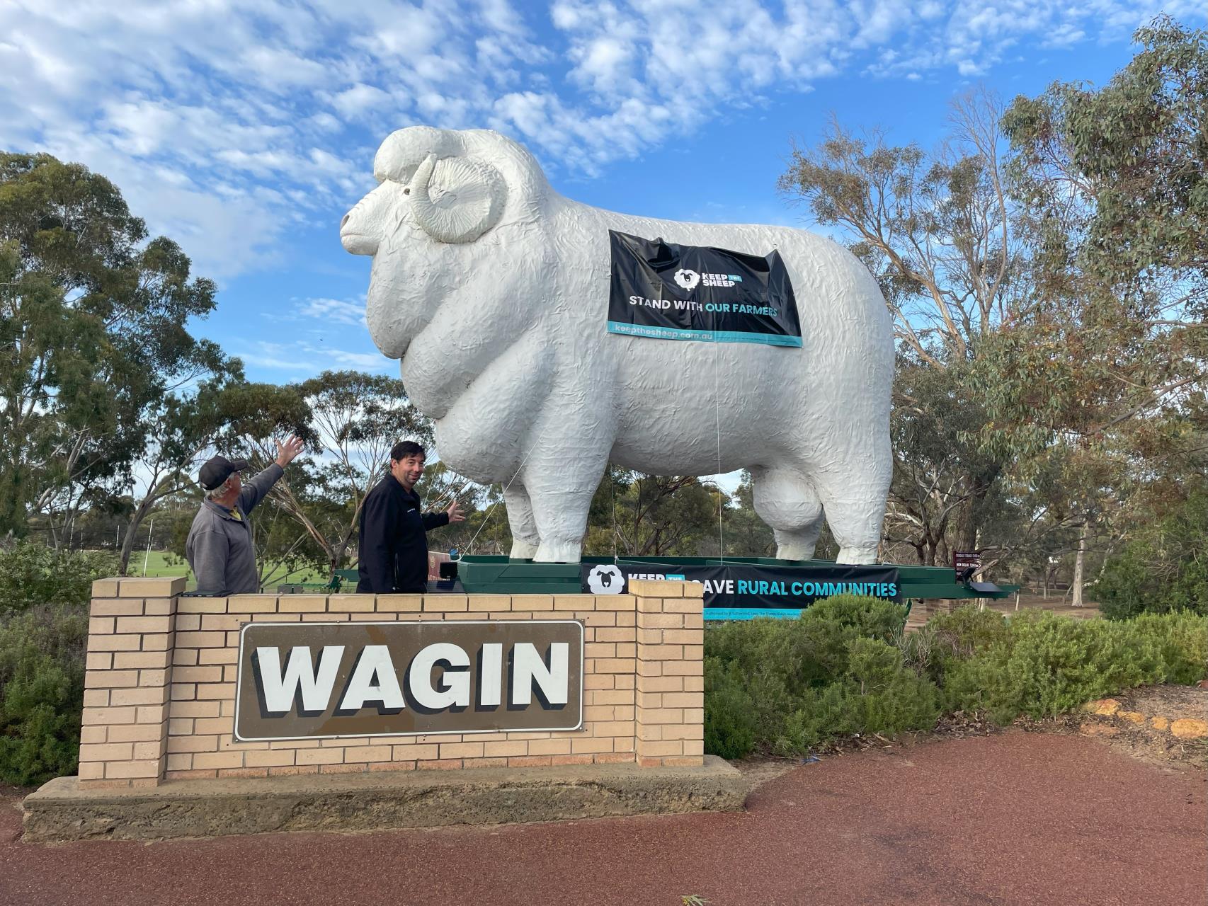 Media Release: Bart the Giant Ram Stands as a Beacon for Live Sheep Exports